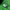 Outerwear Kids green black photo 7
