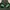 Outerwear Kids green black photo 4