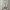 Japanese brand Vintage Cardigan Wanita white black photo 1