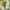 Uniqlo Sportswear Casual Windbreaker Pria green navy photo 3