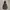 H&M Puffer jacket Wanita multicolor photo 4