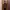 Uniform Bridge Streetwear Casual Fleece Pria Brown