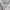 WHO.A.U Sportswear Casual Fleece Pria white gray photo 8