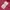 Millet Outerwear Kids green pink photo 8