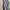 H&M Minimalist Casual Culotte Wanita gray photo 2