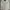 Casual Formal Shirt Pria Cream