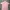 Casual Jersey Pria pink photo 2