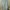 Pull & Bear Minimalist Casual High waisted jeans Wanita blue photo 1