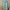 Pull & Bear Minimalist Casual High Waisted Jeans Wanita Blue