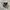 Stussy Vintage Y2K Belt Pria white black photo 1