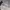 Nike Streetwear Sportswear Jersey Pria white photo 5