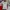 Nike Streetwear Sportswear Jersey Pria white photo 2