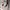 Nike Streetwear Sportswear Jersey Pria white photo 6