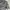 Polo Ralph Lauren Luxury Polo shirt Pria gray photo 2