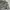 Polo Ralph Lauren Luxury Polo Shirt Pria Gray