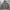 thisisneverthat Streetwear Minimalist Hoody Pria gray photo 1