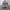 thisisneverthat Streetwear Minimalist Hoody Pria gray photo 2