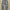 Vintage Jeans Pria Multicolor