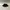 Keith Haring Streetwear Casual Hat Pria Black