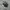 Nike Casual Sneakers Pria white black photo 5