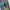Disney Vintage Y2K Skinny jeans Wanita blue photo 3