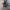 Nike Streetwear Sportswear Sneakers Pria white black photo 3