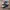 Nike Streetwear Sportswear Sneakers Pria white black photo 2