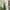 Sportswear Windbreaker Pria green black photo 4