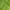 Sportswear Windbreaker Pria green black photo 7