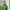 Sportswear Windbreaker Pria green black photo 2