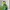 Sportswear Windbreaker Pria Green Black