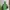 Sportswear Windbreaker Pria green black photo 3