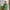 Sportswear Windbreaker Pria green black photo 1