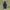 Sportswear Windbreaker Pria navy black photo 5