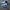 New Balance Streetwear Sportswear Casual shoe Pria silver white photo 3