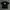 Y2K Grunge T-shirt Pria white black photo 1