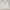 Carhartt Streetwear Luxury Hoody Pria White