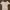 Indie Coquette Crop Top Wanita Cream