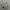 VANS Casual Sneakers Pria white black photo 1