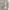 Carhartt Streetwear Sportswear Hoody Pria gray photo 3