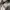 Carhartt Streetwear Sportswear Hoody Pria gray photo 5