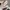 Emporio Armani Casual Sneakers Pria multicolor photo 2