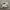 Emporio Armani Casual Sneakers Pria multicolor photo 1
