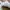 Adidas Casual Sneakers Pria multicolor photo 6