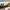 Adidas Casual Sneakers Pria multicolor photo 2
