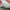 Adidas Casual Sneakers Pria multicolor photo 6