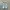 Adidas Casual Sneakers Pria multicolor photo 3