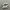 Adidas Casual Sneakers Pria Multicolor