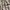 Pull & Bear Casual Culotte Wanita multicolor photo 2
