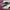 Puma Streetwear Casual Sneakers Wanita white black photo 2
